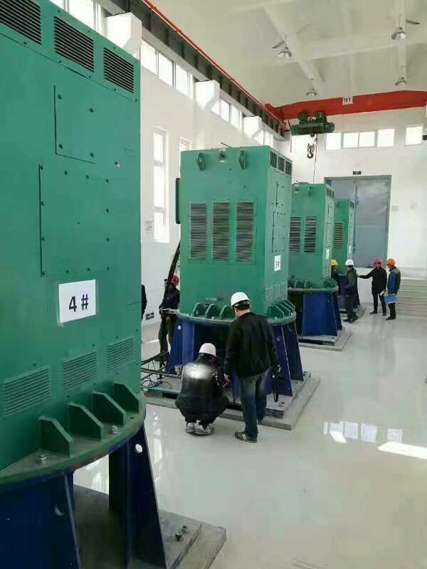 北安某污水处理厂使用我厂的立式高压电机安装现场