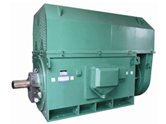 北安Y系列6KV高压电机